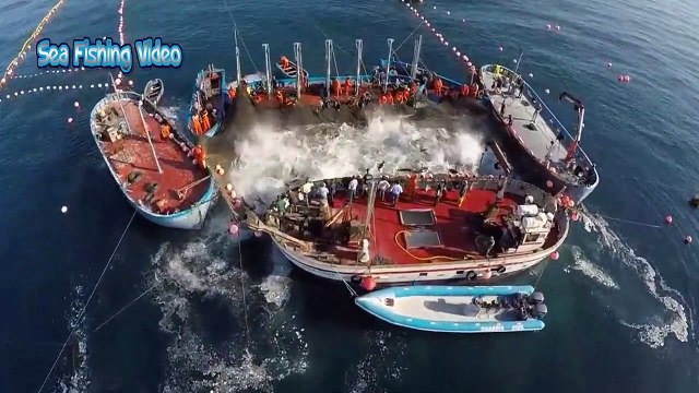 Most Satisfying Big Catch Fishing Huge Tuna Video - Amazing Giant Bluefin Tuna Processing Skill