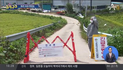 [핫플]파주 이어 연천도 확진…돼지고기 경매가 급등
