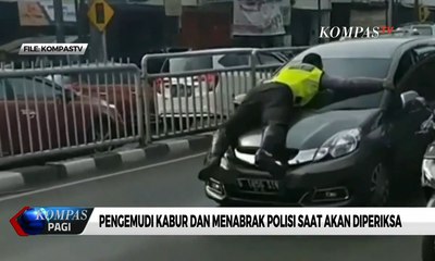 Viral Polisi di Kap Mobil, Pengemudi Minta Maaf