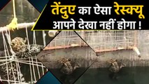 Maharashtra के Buldhana में कुएं में गिरे Leopard का खाट से Rescue, देखें Video | वनइंडिया हिंदी