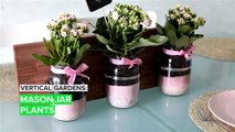 Vertical Gardens: Mason Jar Plants