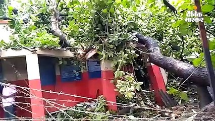 बिजली गिरने से बिहार में 17 और उप्र में 8 की मौत; पटना में पेड़ गिरने से 9 पुलिसकर्मी जख्मी