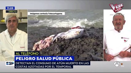 El 'lapsus' de una periodista en Espejo Público: "Vi a unos negr... cortando el atún muerto"
