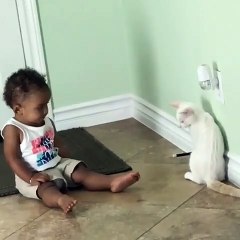 Ce bébé et ce chat jouent avec un bloque porte !