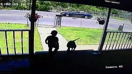 Confondre chien et cheval.. Raté !