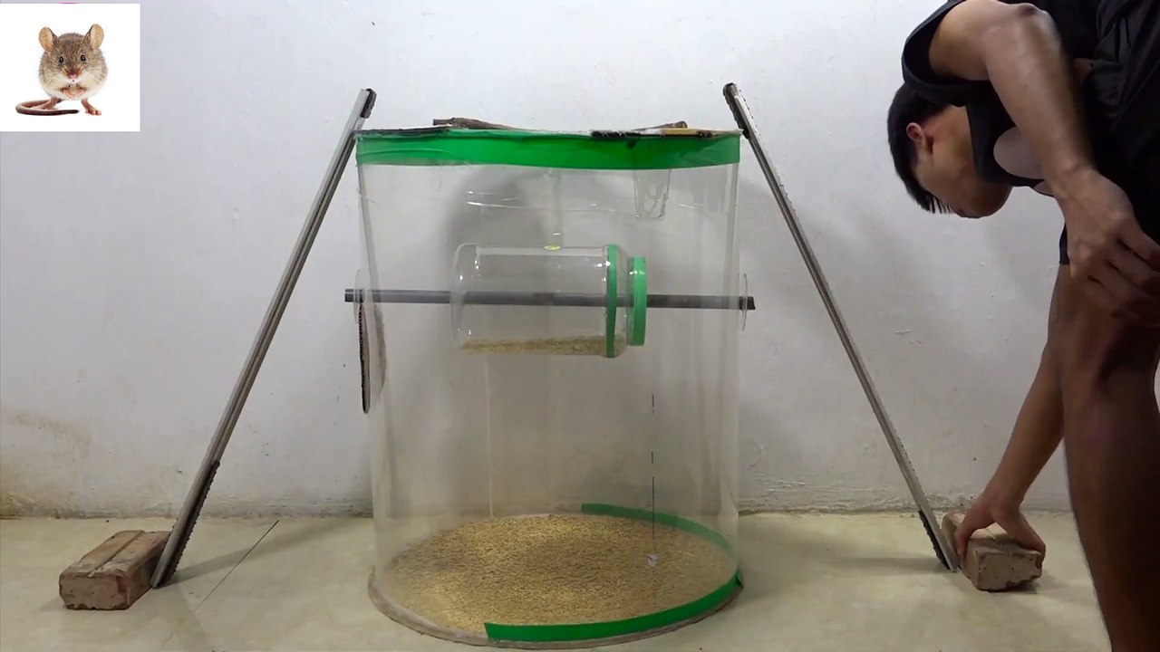 New type of mouse trap . how to make mousetrap . mousetrap with scrap . Mouse Trap 2020