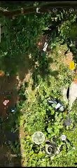 Introducing the greenery of Chhattisgarh, Bhilai
