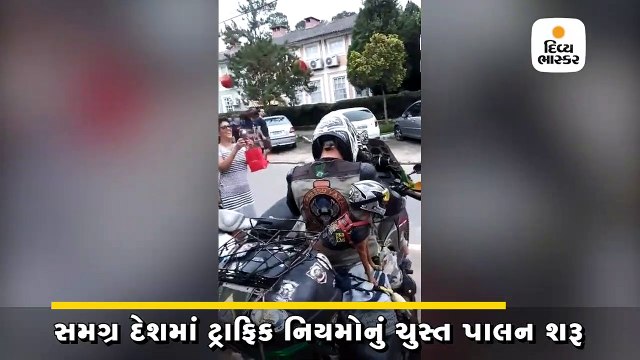 ટ્રાફિકના નિયમોના કડક પાલન માટે બાઈકસવારે પોતાની સાથે ડોગ્સને પણ હેલ્મેટ પહેરાવ્યાં