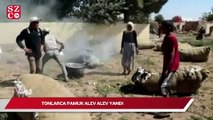 Şanlıurfa’da tonlarca pamuk alev alev yandı