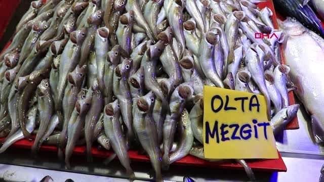 Samsun deniz suyu ısınan karadeniz'de balık avı azaldı