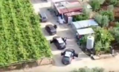 Noicattaro (BA) - Braccianti sfruttati per raccolta uva: 2 arresti (18.09.19)