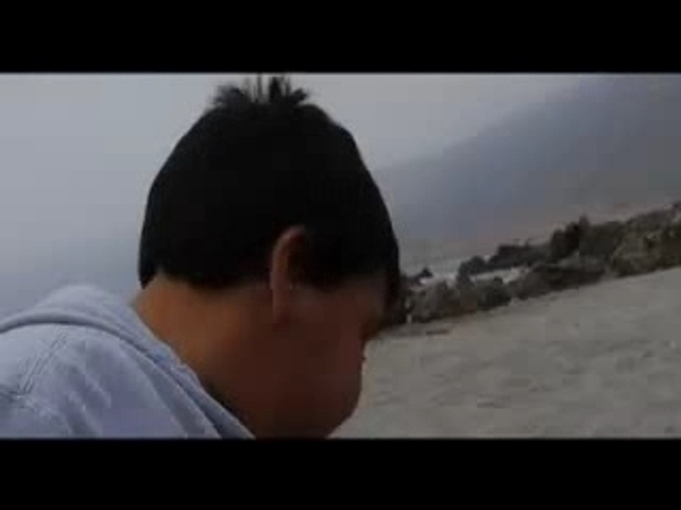 Elinte Video 2