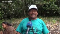 Tribos indígenas recorrem à tecnologia contra a desflorestação