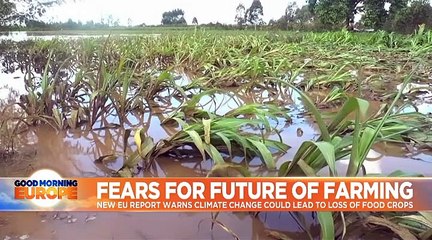 EU warns climate change could wipe out crop production in Europe