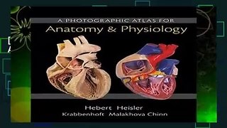 [READ] A Photographic Atlas for Anatomy   Physiology