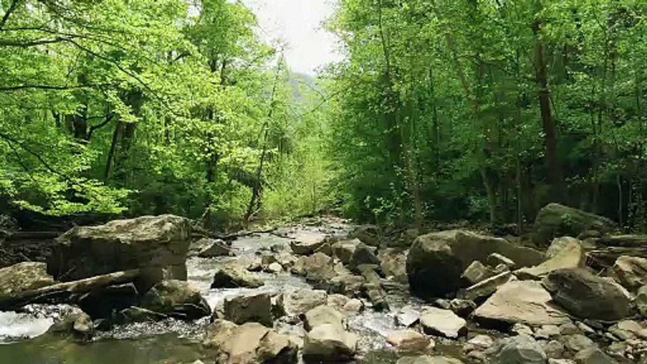 Inspiring nature