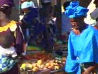 Gambia Holidays with The Gambia Experience