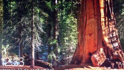 2019-09-13 mucho veneno sobre Huelva, mucha muerte en el levante