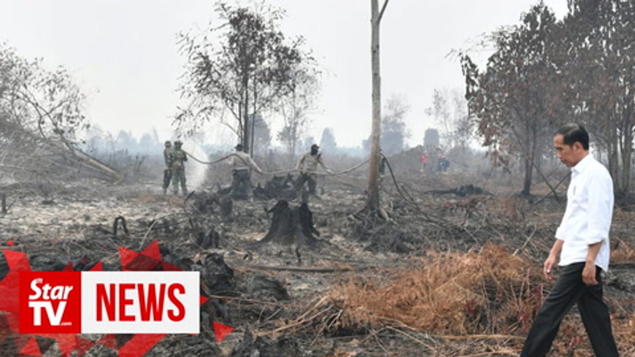 Jokowi inspects burnt forests, calls for investigation