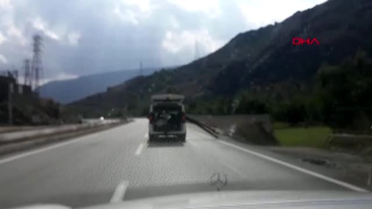 Gümüşhane'de trafikte ilginç görüntü