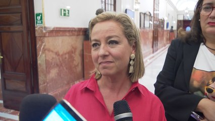 Oramas ve reformar la Constitución como "un despropósito"