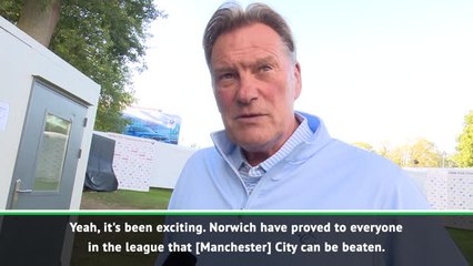 Norwich proved City are beatable - Hoddle