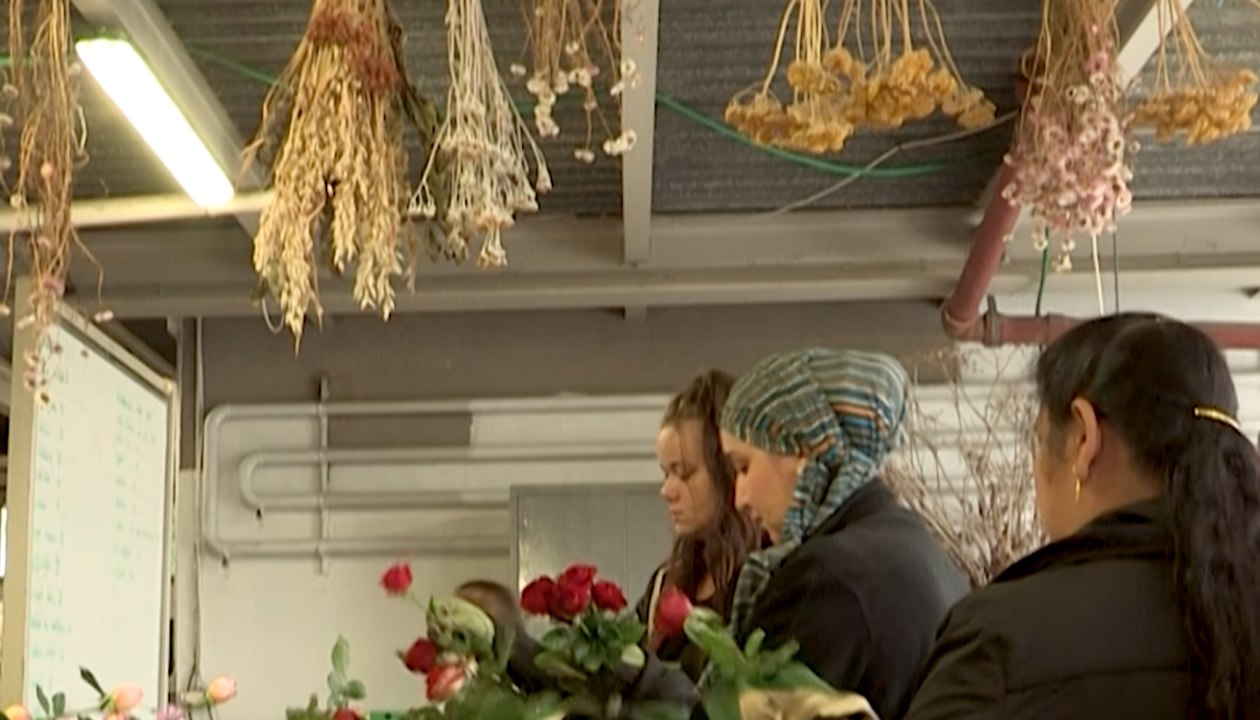 Des fleurs pour se reconstruire : reportage au jardin de réinsertion Fleurs de Cocagne