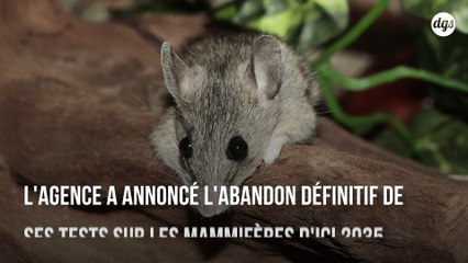 L’EPA annonce l’arrêt de ses tests sur les mammifères d’ici 2035