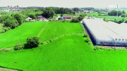 한국기행 - 야생에서 마이웨이 3부- 마음 가는 대로, 베짱이 유랑기_#001