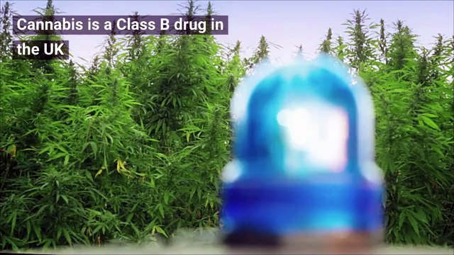 Drugs - The legalisation of cannabis