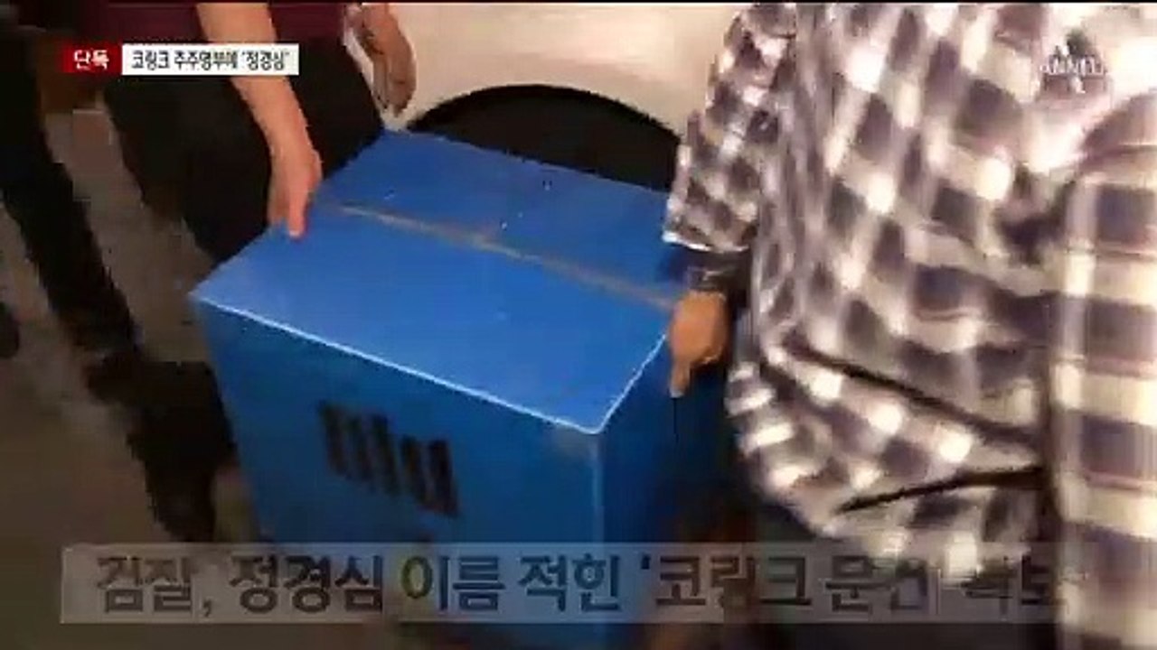 [단독]조국 부인 정경심, ‘코링크 직접 투자’ 시도 정황