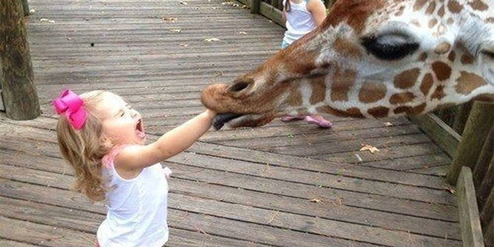 Ni perros, ni gatos ni leches: los graciosos de verdad son los niños