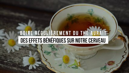 Boire régulièrement du thé aurait des effets bénéfiques sur notre cerveau