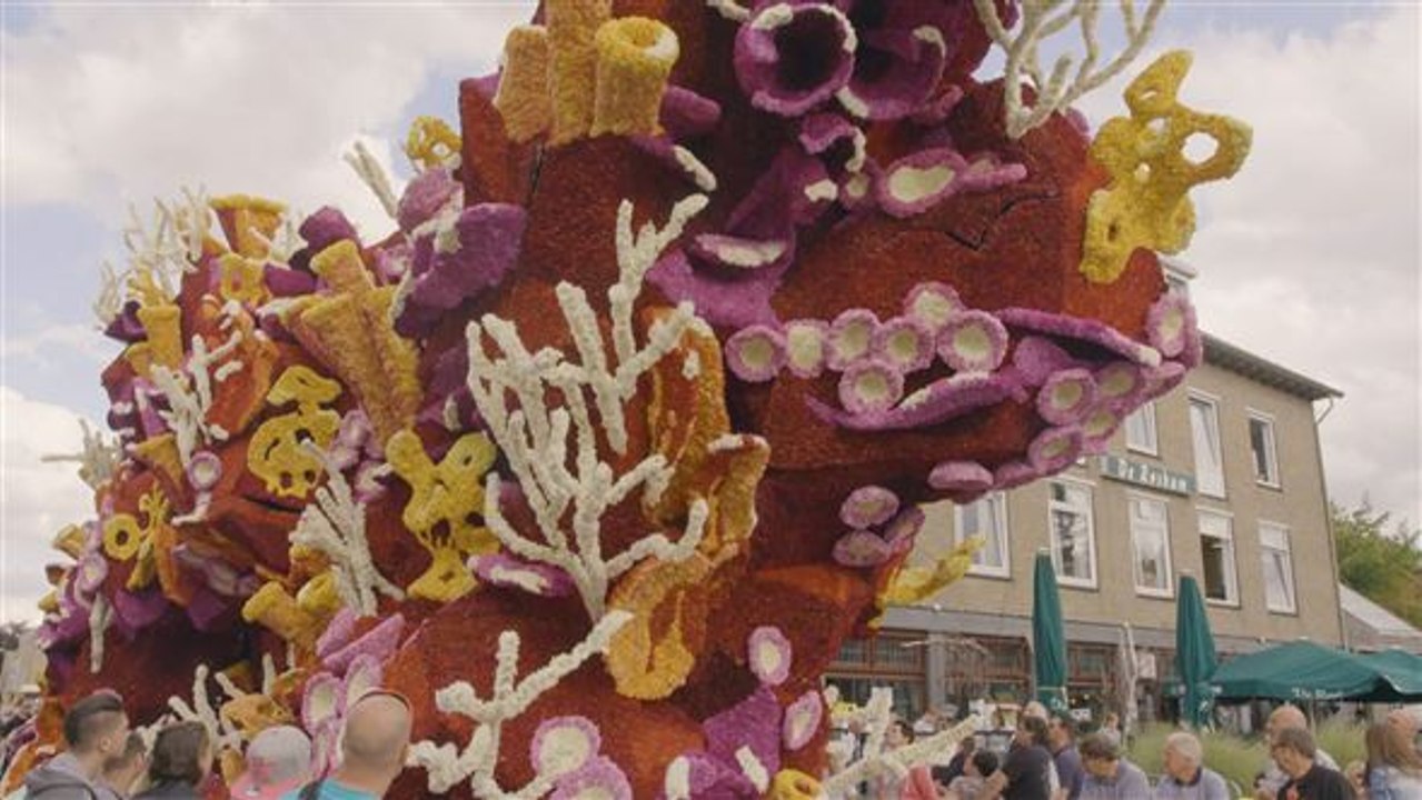 Das ist die größte Blumenparade der Welt