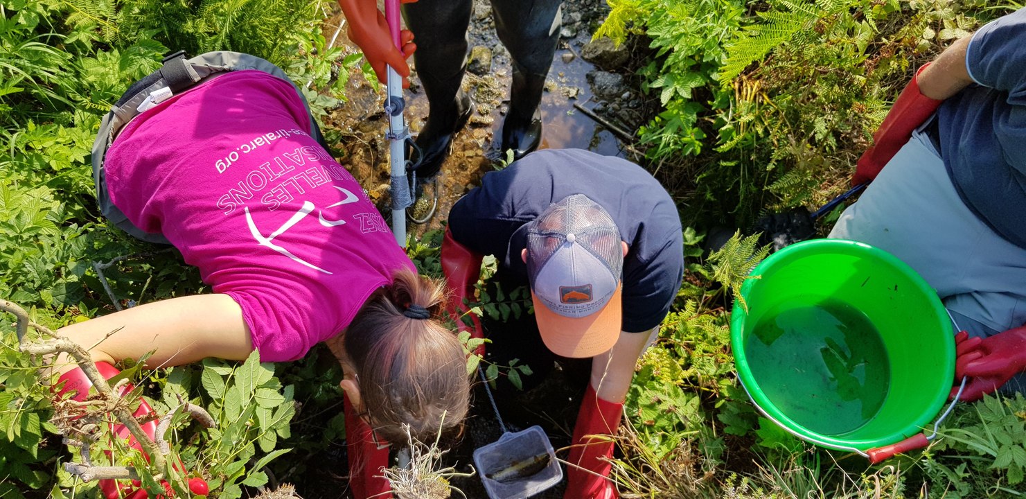 Sécheresse et travaux du lac de Kruth-Wildenstein  : pêche de sauvegarde dans la vallée de la Thur
