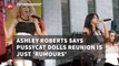 Ashley Roberts On The Pussycat Dolls