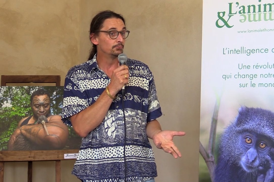 Conférence de Jean-Philippe Noël : Les champions du camouflage