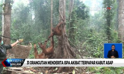 Pemkot Palangkaraya Tetapkan Tanggap Darurat Karhutla