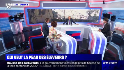 Un élevage de poulets incendié dans l'Orne - 18/09