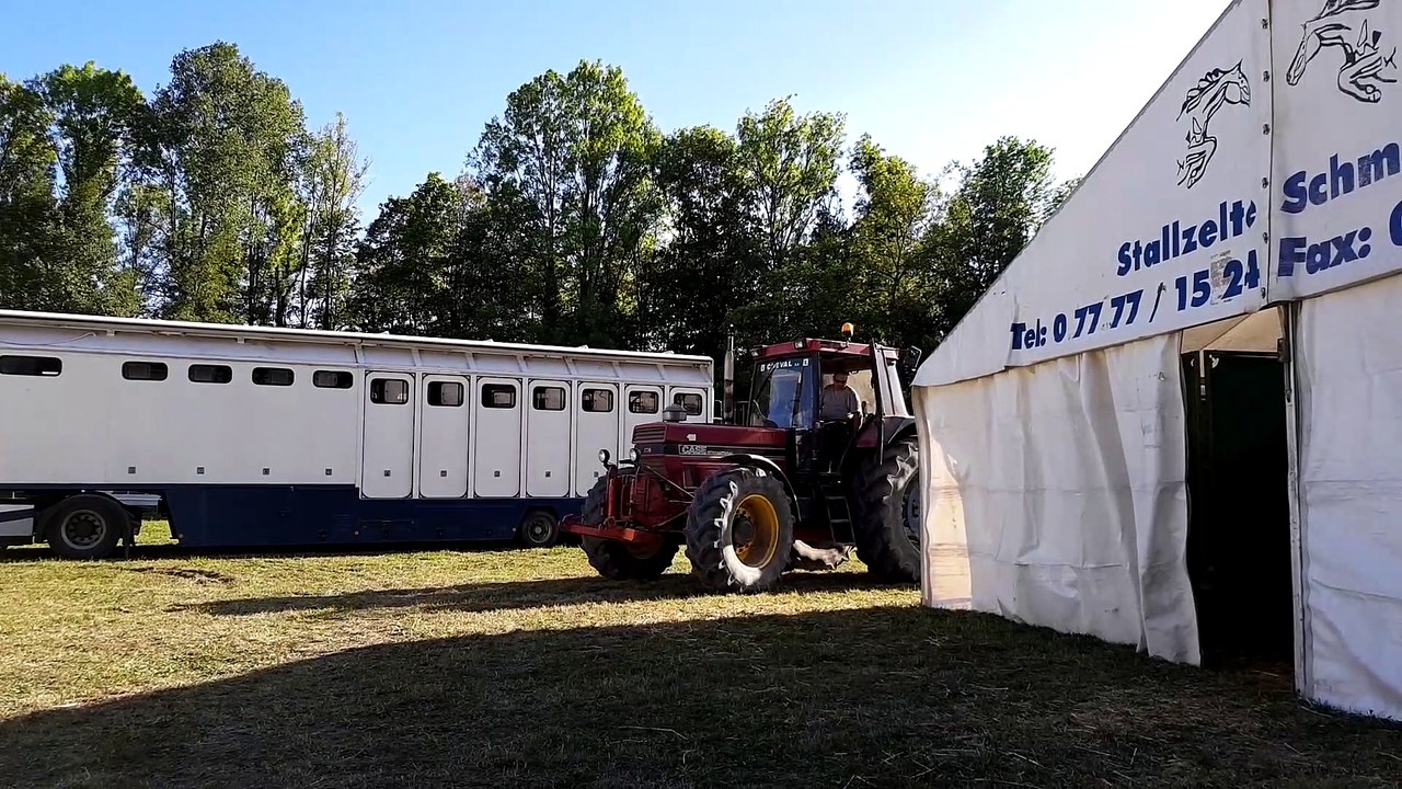 Christophe Hasta Luego revient sur le voyage de ses chevaux avant la Biennale équestre de Thillombois