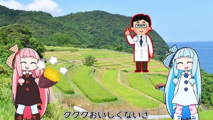 【マリオメーカー2 ( SUPER MARIO MAKER 2 ) 】爆発オチの琴葉姉妹 #2