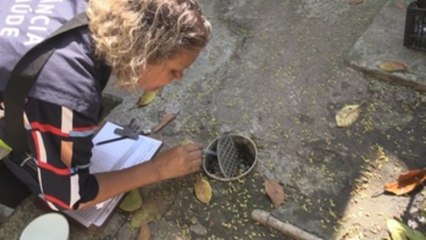 Brasil y su "eterna batalla" contra el dengue