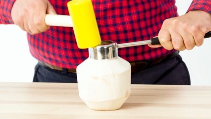 5 Opening Kitchen Gadgets Tested by Design Expert