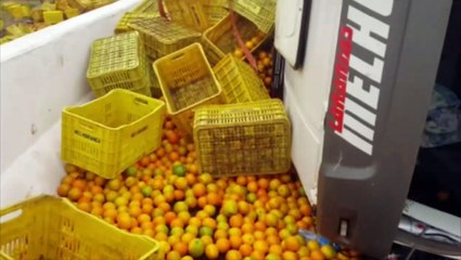 Tombamento no Contorno Oeste resulta em uma pessoa ferida e derramamento de óleo