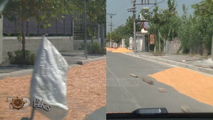 Fiks Fare/ Çudira shqiptare. "Plas" misri sheshit