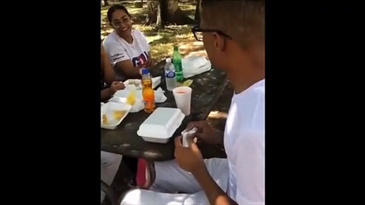 Voilà comment on gâche un pique-nique en famille à cause d'une guêpe !