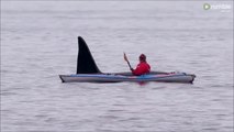 Une orque énorme rend visite à un kayakiste pour un petit calin...
