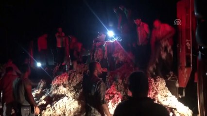 Pamuk yüklü kamyon alev aldı - HATAY