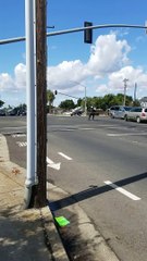 Police Open Fire on Dangerous Driver