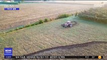 [이 시각 세계] 밭에 그린 '환경운동 아이콘 툰베리'